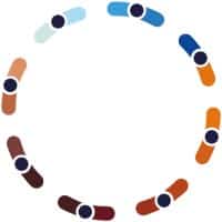 Formation en intelligence collective