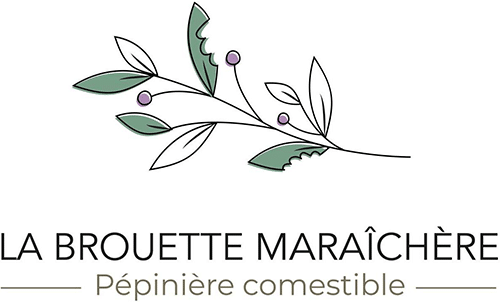 La brouette maraichère