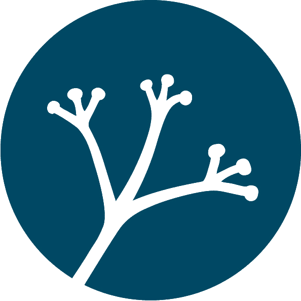 Réseau des femmes en environnement