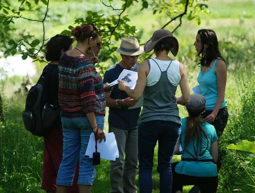 services en permaculture Services en permaculture