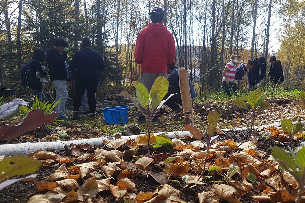Permaculture pour les legs : Accompagnement nourricier pour la communauté Atikamekw de Wemotaci