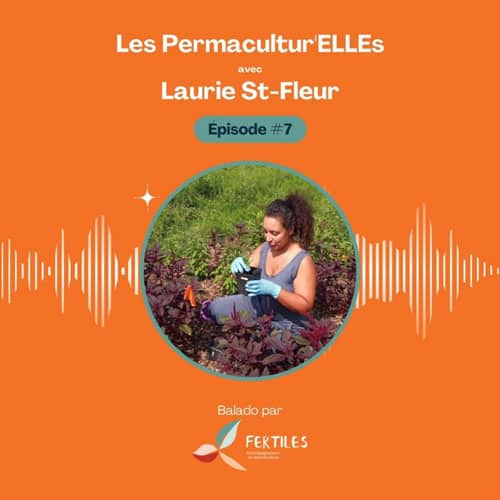 Les choux chinois aiment-ils le basilic africain? par Laurie Sainte-Fleur